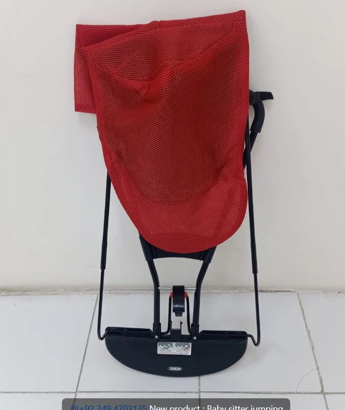 Infant Relaxer Chair